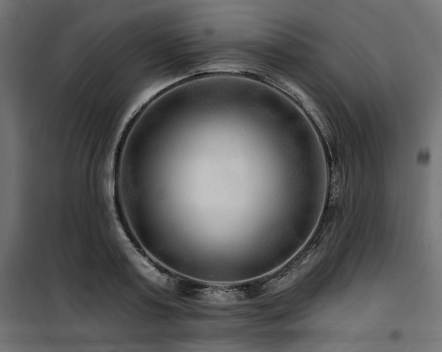 X0000100750795200806191142