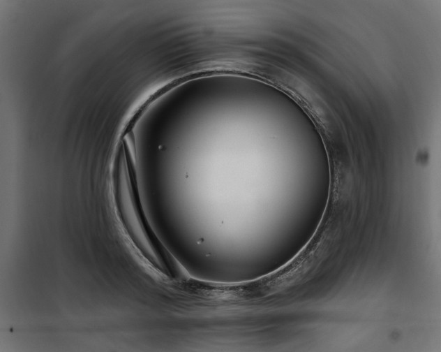 X0000100750796200806191142