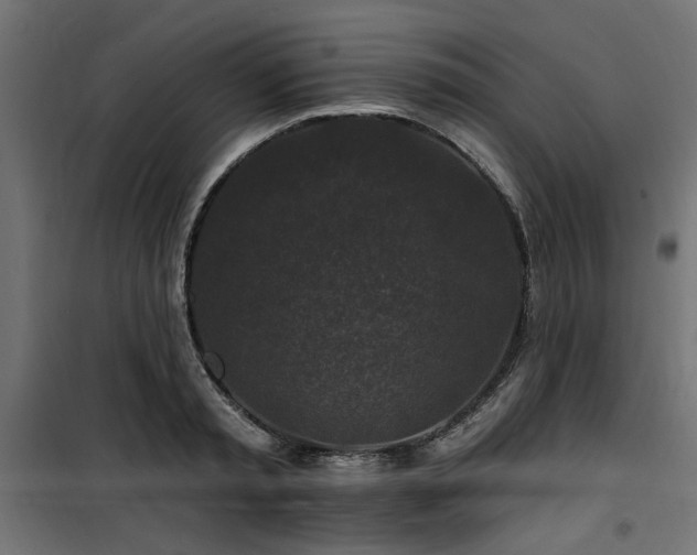 X0000100750797200806191142