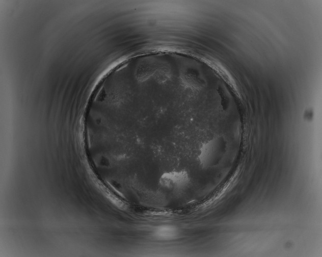 X0000100750798200806191142