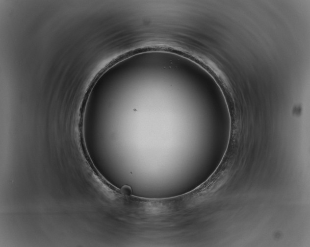 X0000100750799200806191142