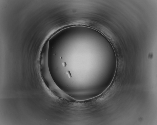 X0000100750800200806191142