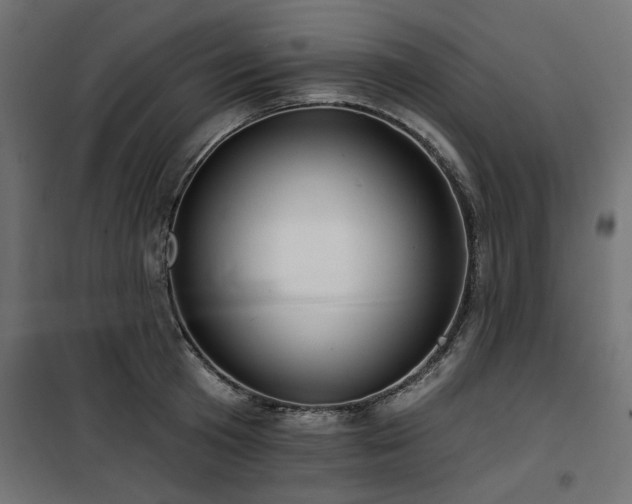 X0000100750801200806191142