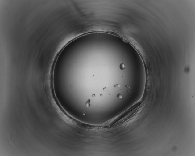 X0000100750803200806191142