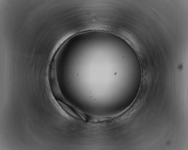 X0000100750804200806191142