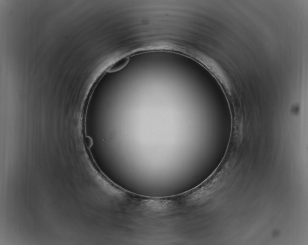 X0000100750805200806191142