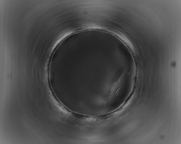 X0000100750806200806191142