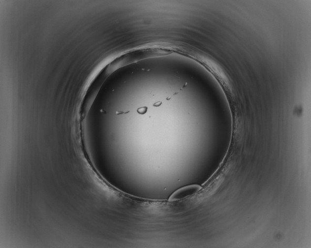 X0000100750808200806191142