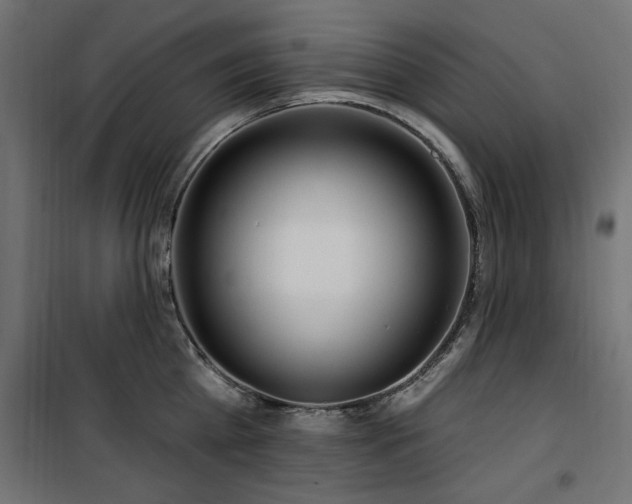 X0000100750809200806191142