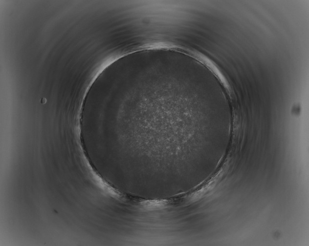 X0000100750810200806191142