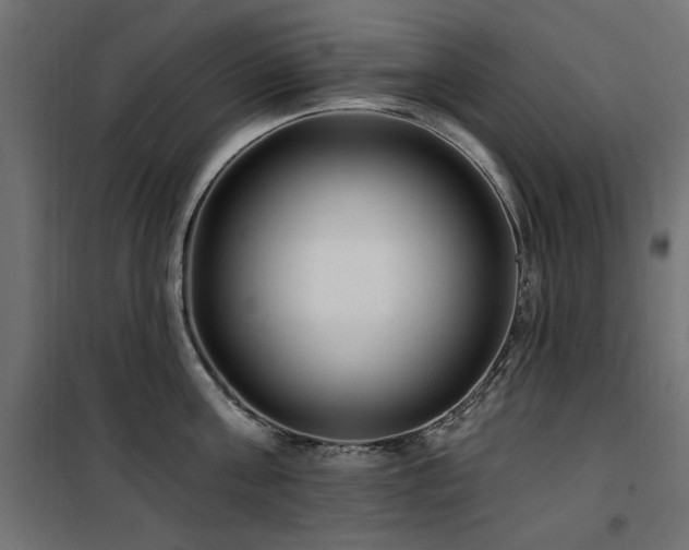 X0000100750811200806191142