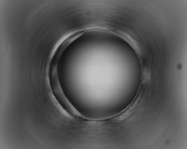 X0000100750812200806191142