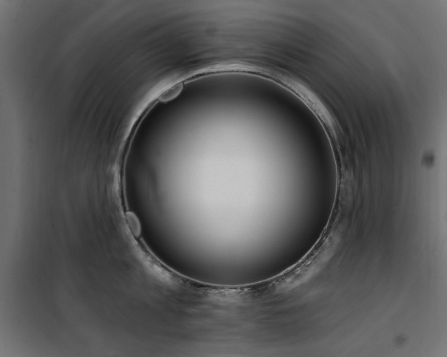 X0000100750813200806191142