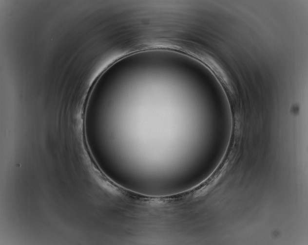 X0000100750814200806191142