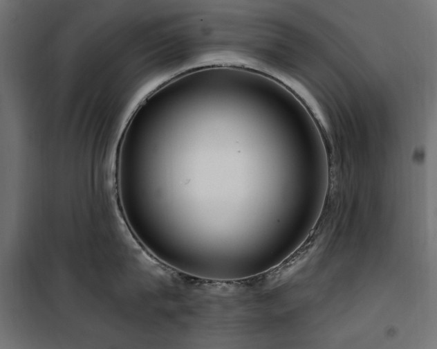 X0000100750815200806191142