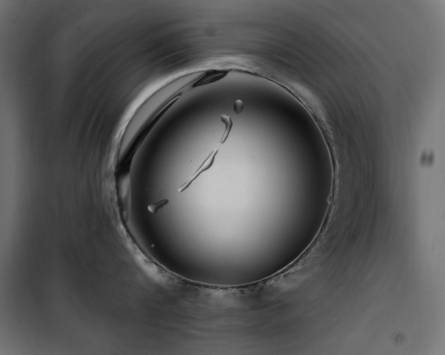 X0000100750816200806191142