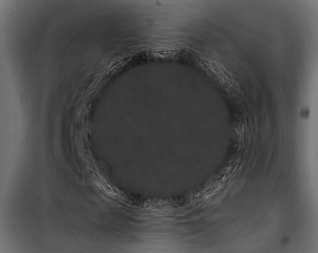 X0000100750817200806191141