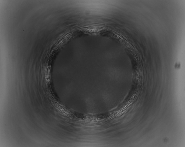 X0000100750818200806191141