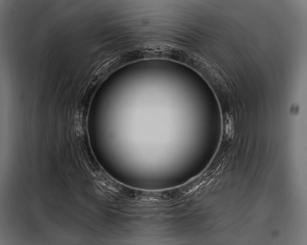 X0000100750819200806191141