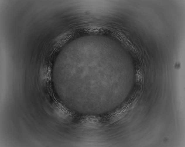 X0000100750820200806191141