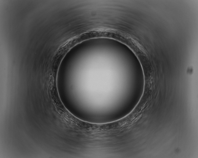 X0000100750821200806191141