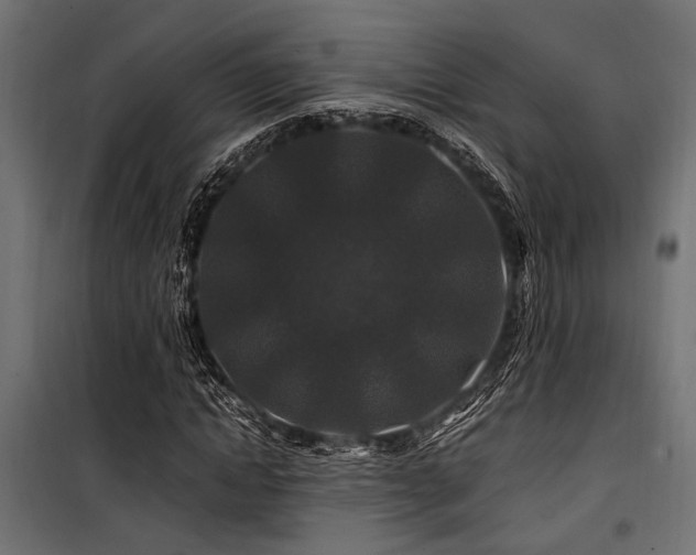 X0000100750822200806191141