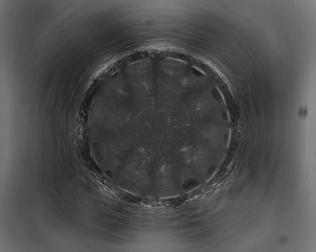 X0000100750823200806191141