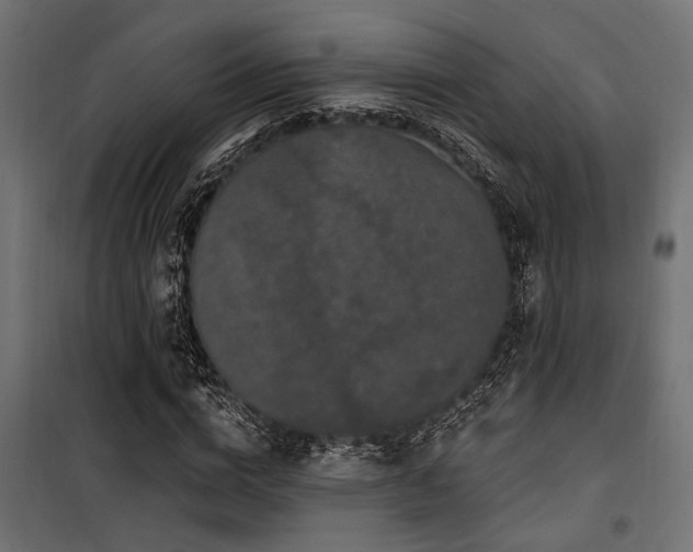 X0000100750824200806191141