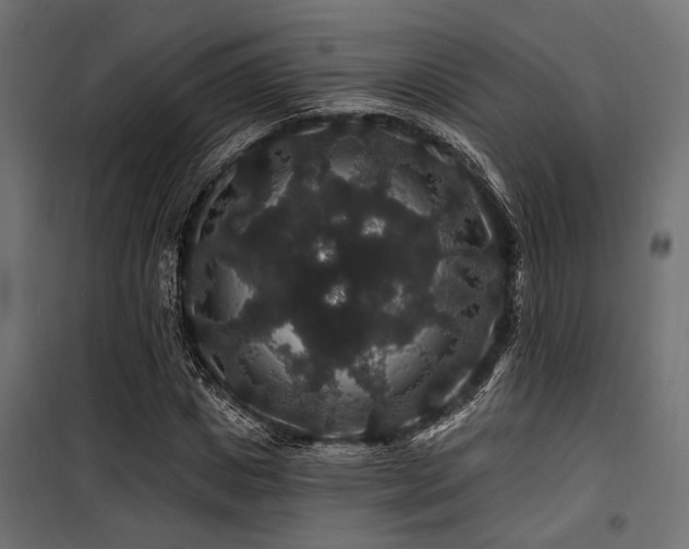 X0000100750825200806191141