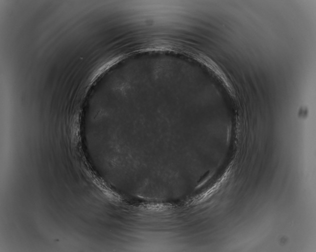 X0000100750826200806191141