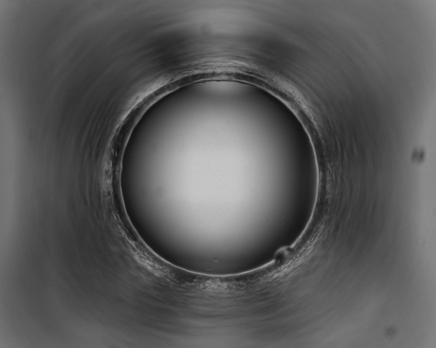 X0000100750827200806191141