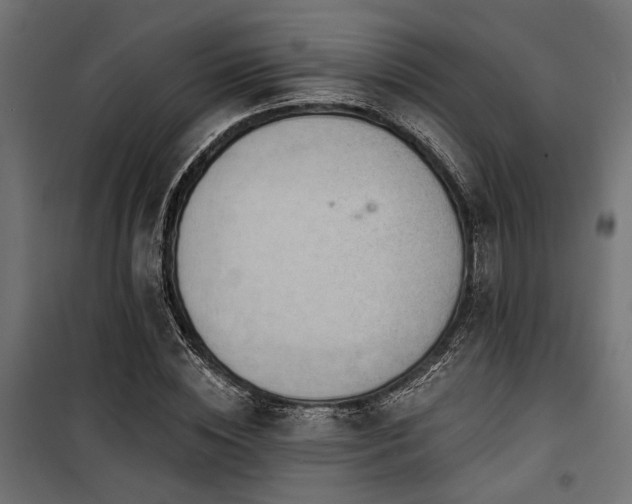 X0000100750828200806191141