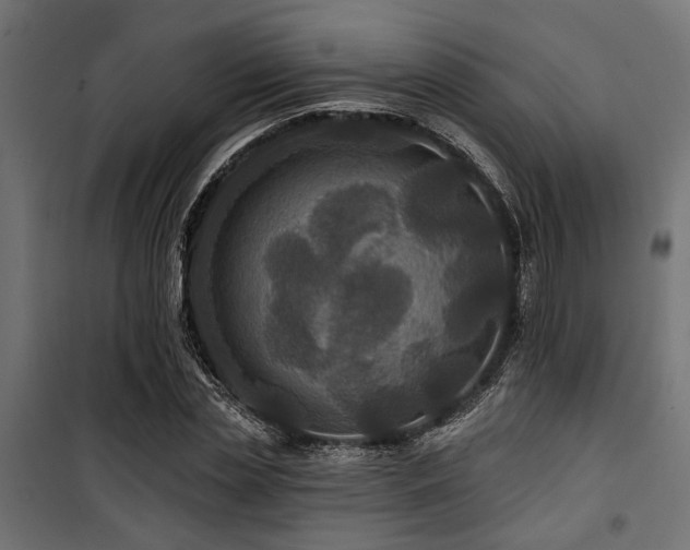 X0000100750829200806191141