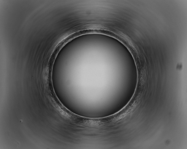 X0000100750831200806191141