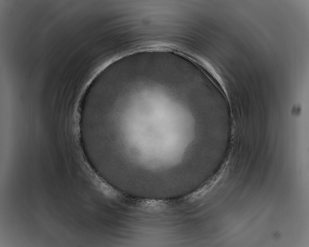 X0000100750835200806191142