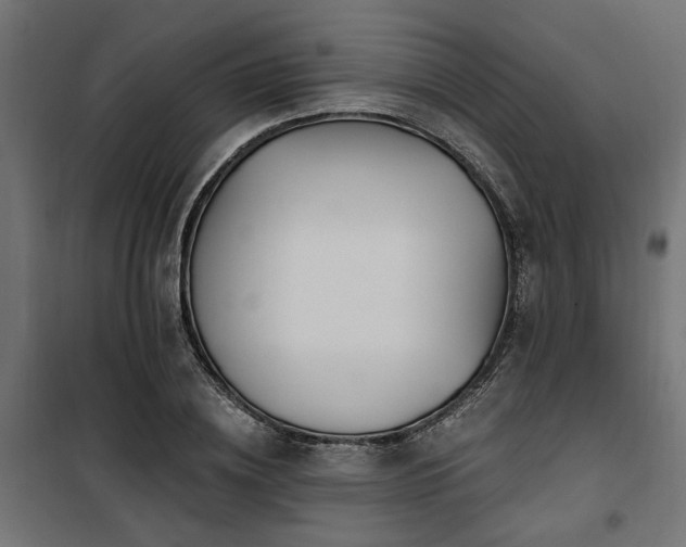 X0000100750836200806191142