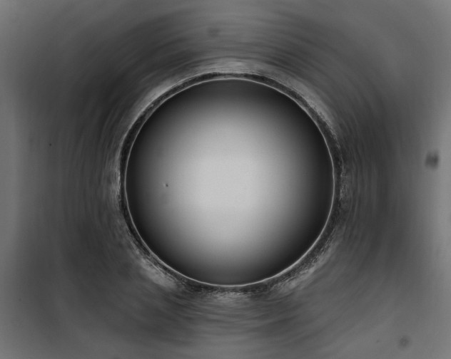 X0000100750837200806191142