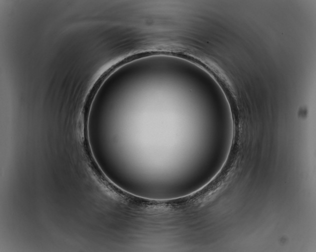 X0000100750838200806191142