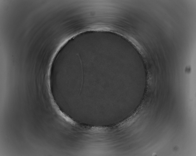 X0000100750840200806191142