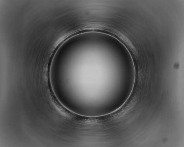 X0000100750842200806191142