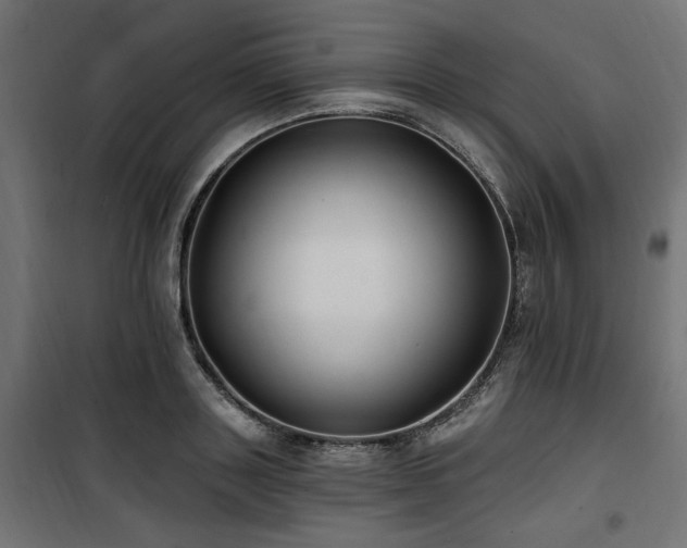 X0000100750843200806191142