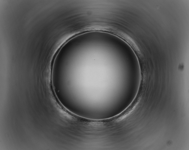 X0000100750844200806191142