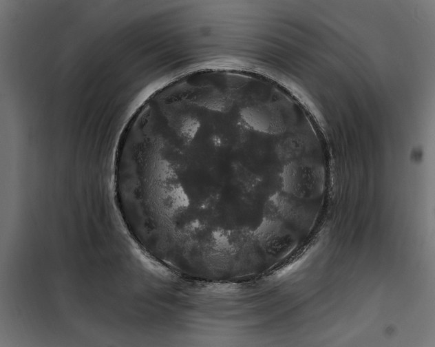 X0000100750845200806191142