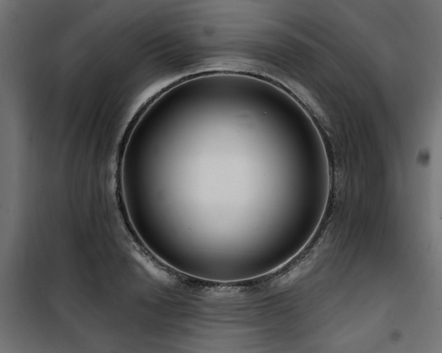 X0000100750846200806191142