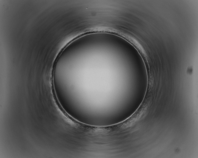 X0000100750847200806191142