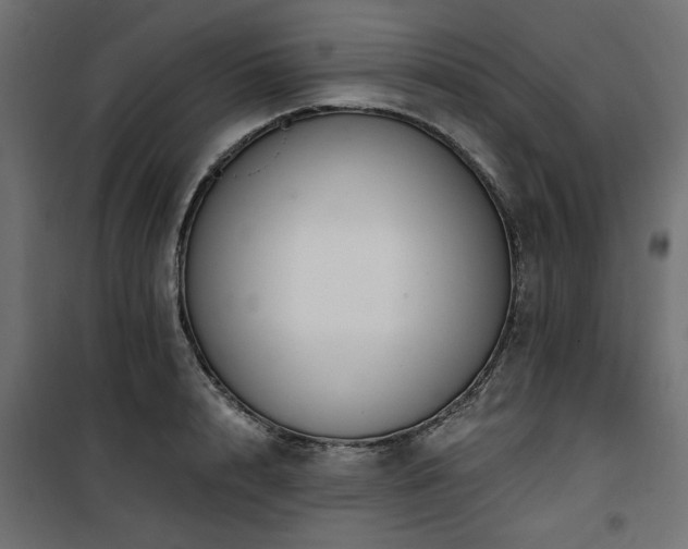 X0000100750848200806191142