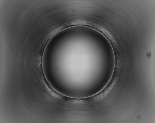 X0000100750849200806191142