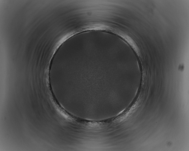 X0000100750850200806191142