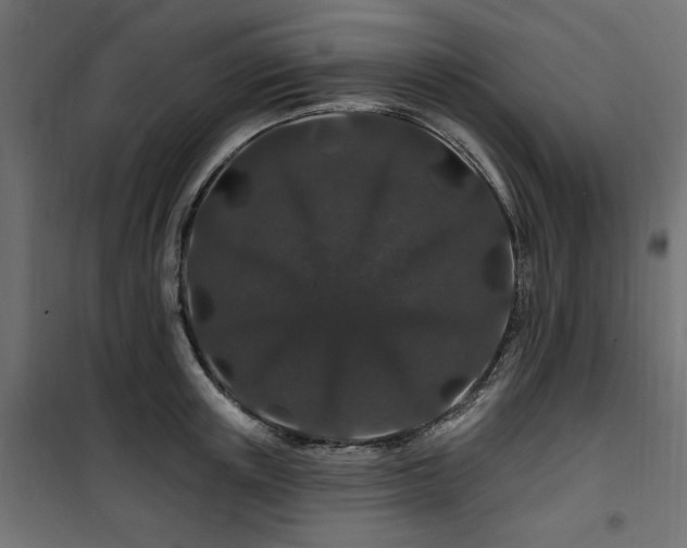 X0000100750851200806191142