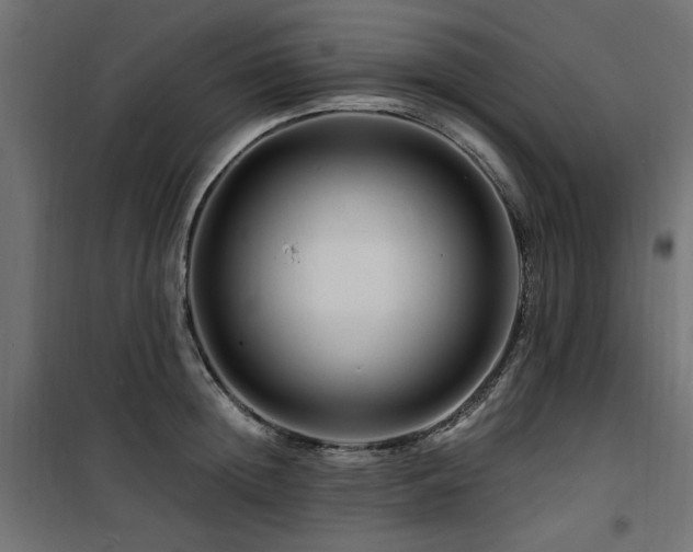 X0000100750852200806191142